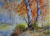 7 Boslandschap