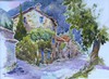 152 Mollans-sur-Ouv�ze, Provence