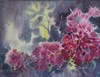 175 Geraniums in tegenlicht