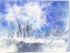 47 Winterboom